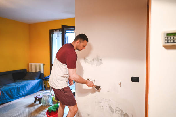 Best Fast Mold Removal  in Pine Island, MN